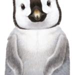 Little Animals Penguin
