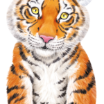 Little Animals Tiger
